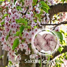 Sakura speckle website